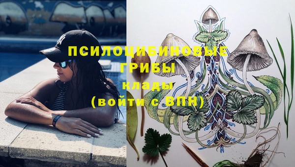 а пвп мука Богородск