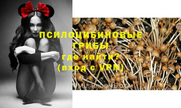 МДПВ Богородицк