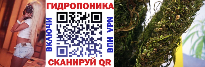 где продают наркотики  Кущёвская  МАРИХУАНА план 
